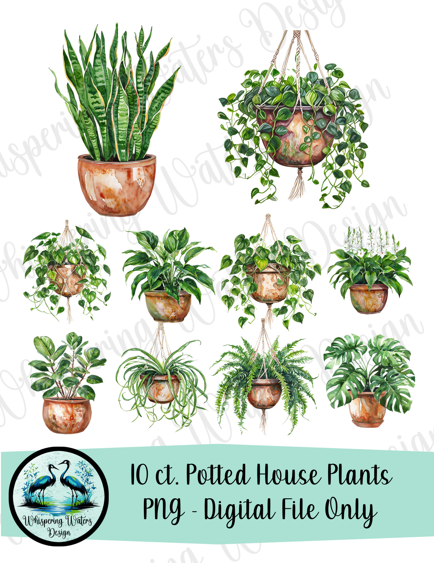 10 ct. Potted House Plants PNG