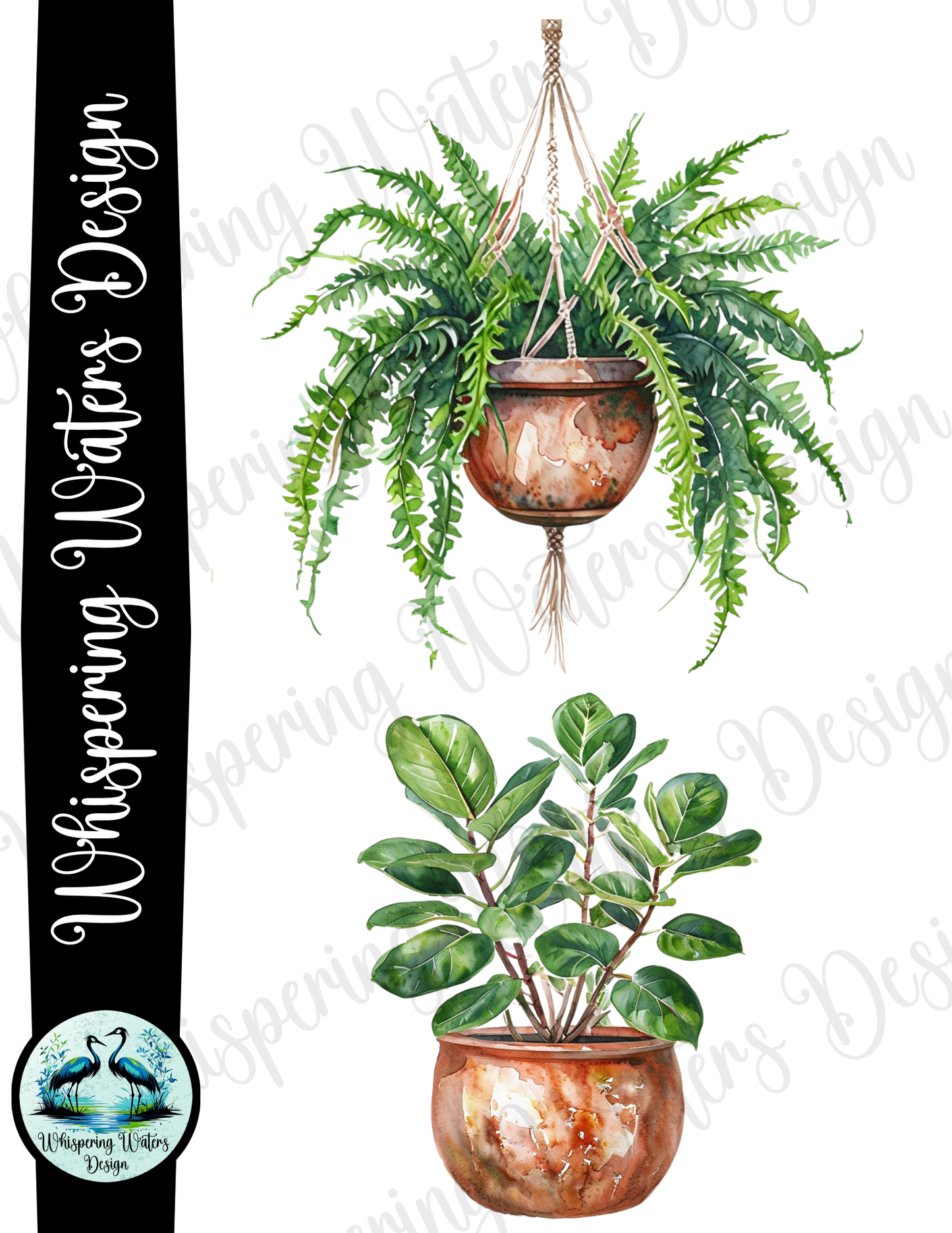 10 ct. Potted House Plants PNG