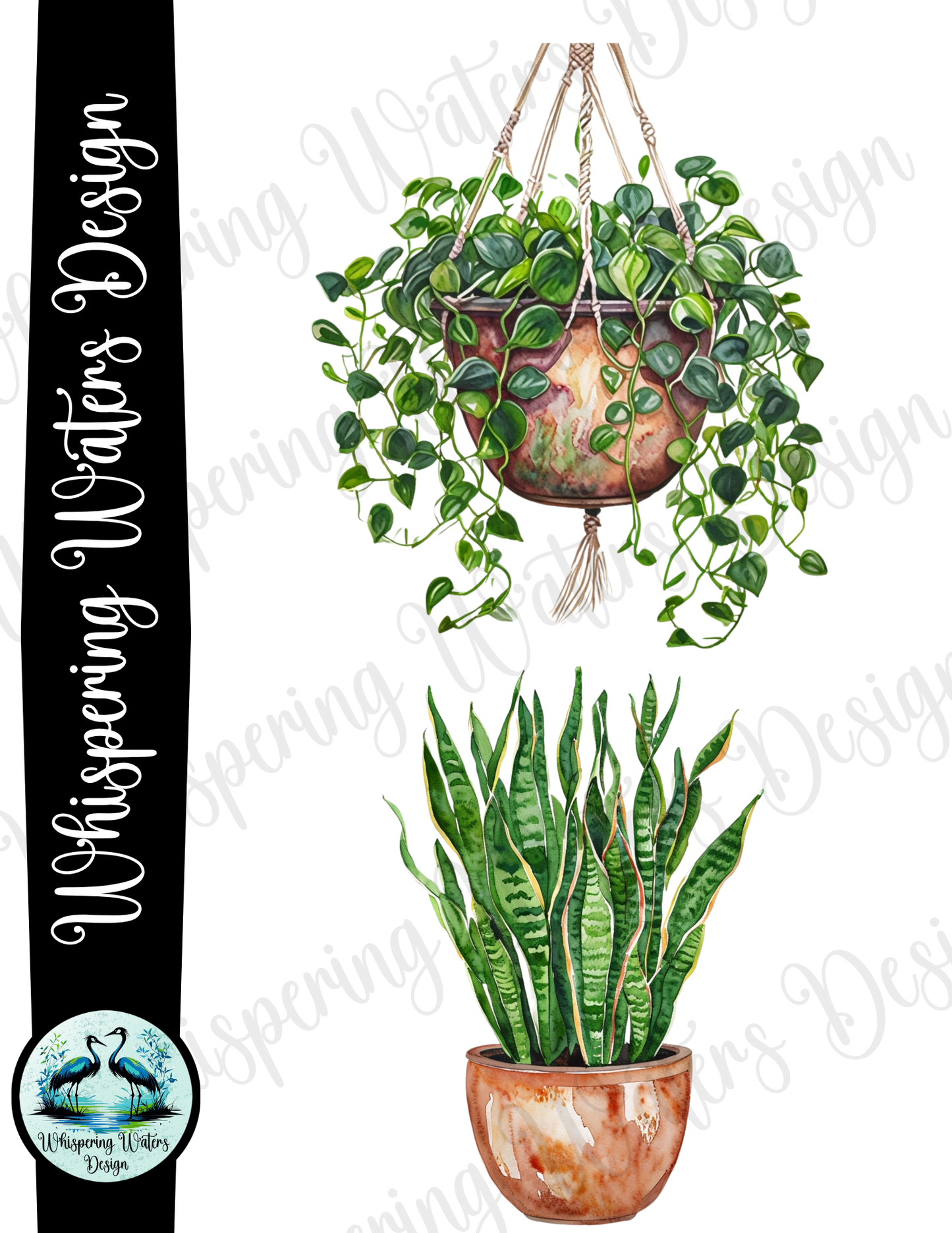 10 ct. Potted House Plants PNG