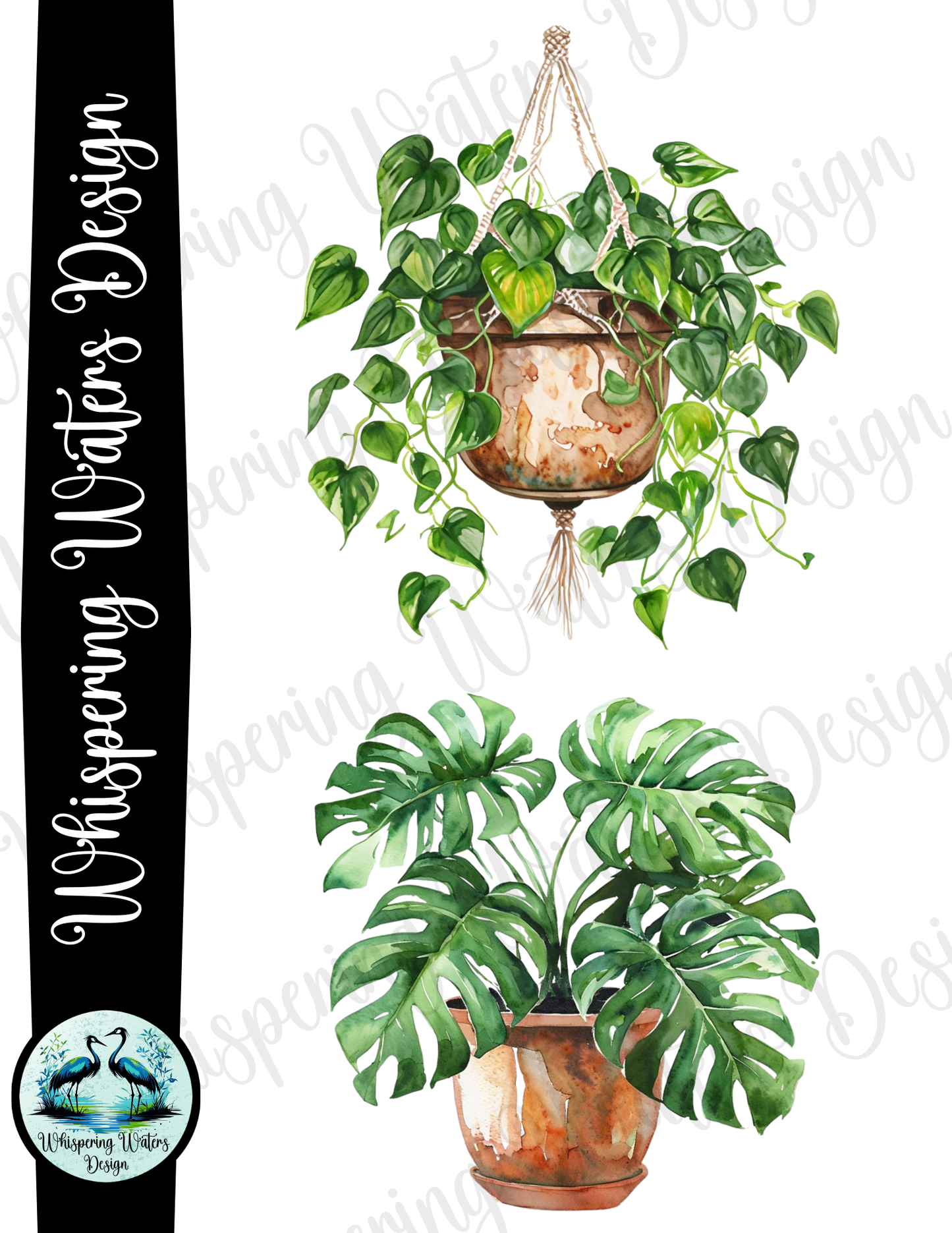 10 ct. Potted House Plants PNG