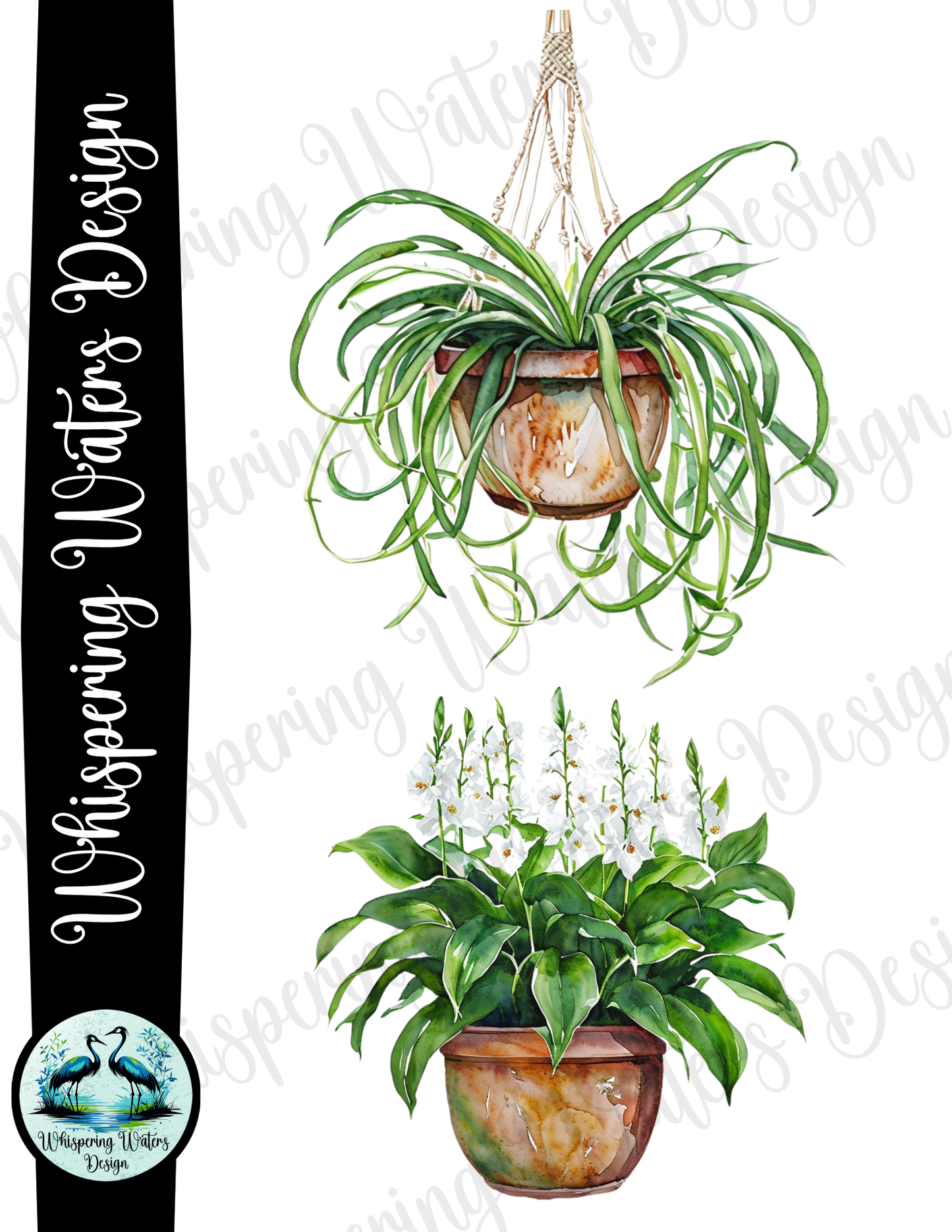 10 ct. Potted House Plants PNG