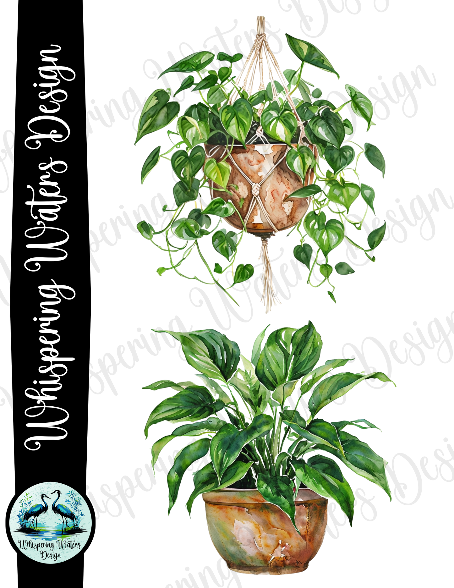 10 ct. Potted House Plants PNG