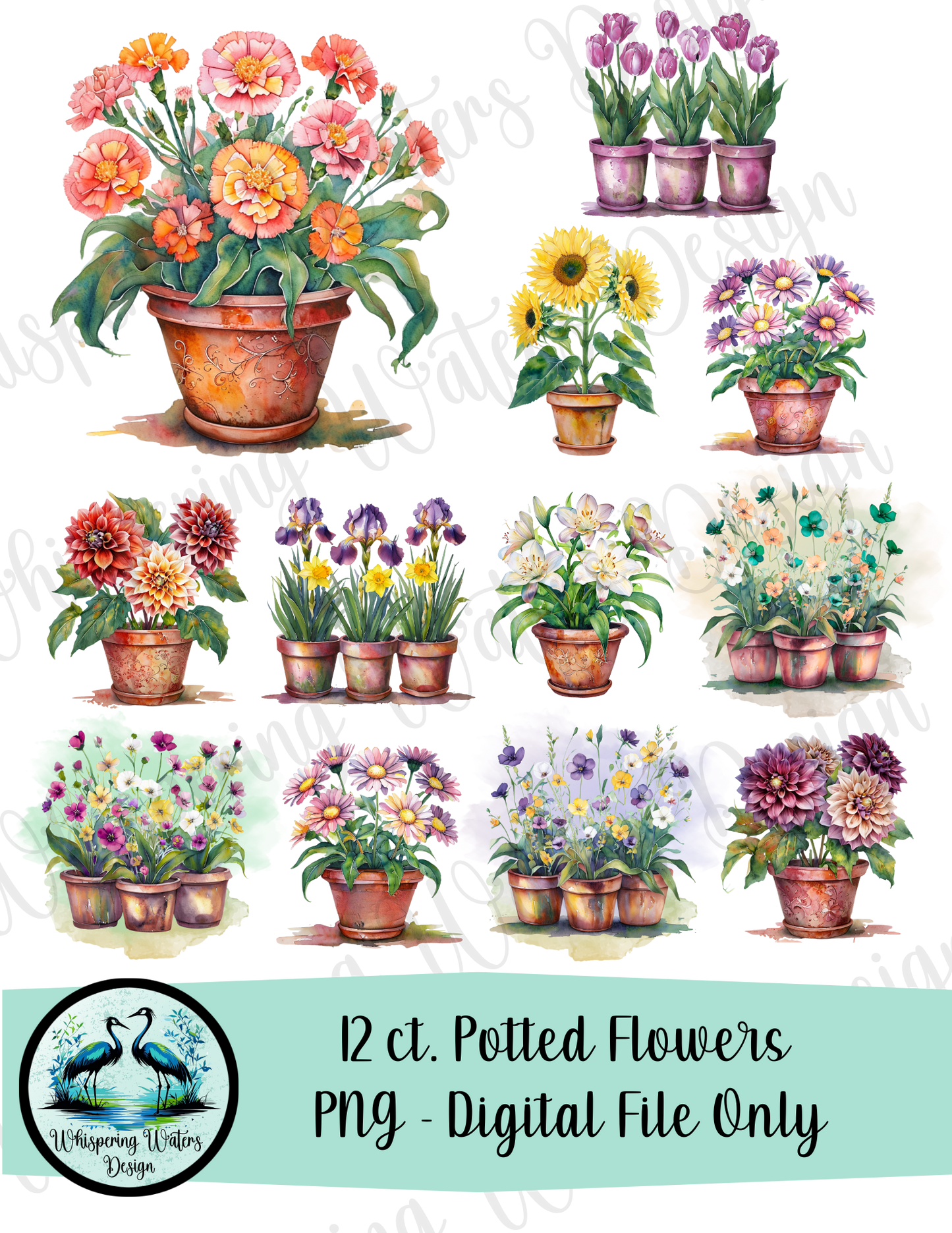 12 Potted Flowers PNGs