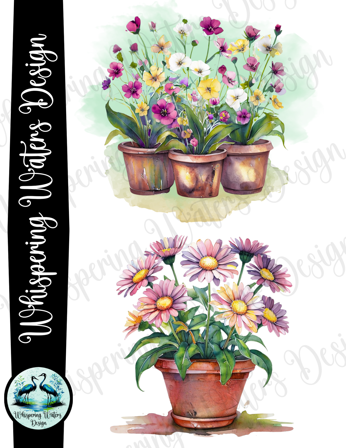 12 Potted Flowers PNGs