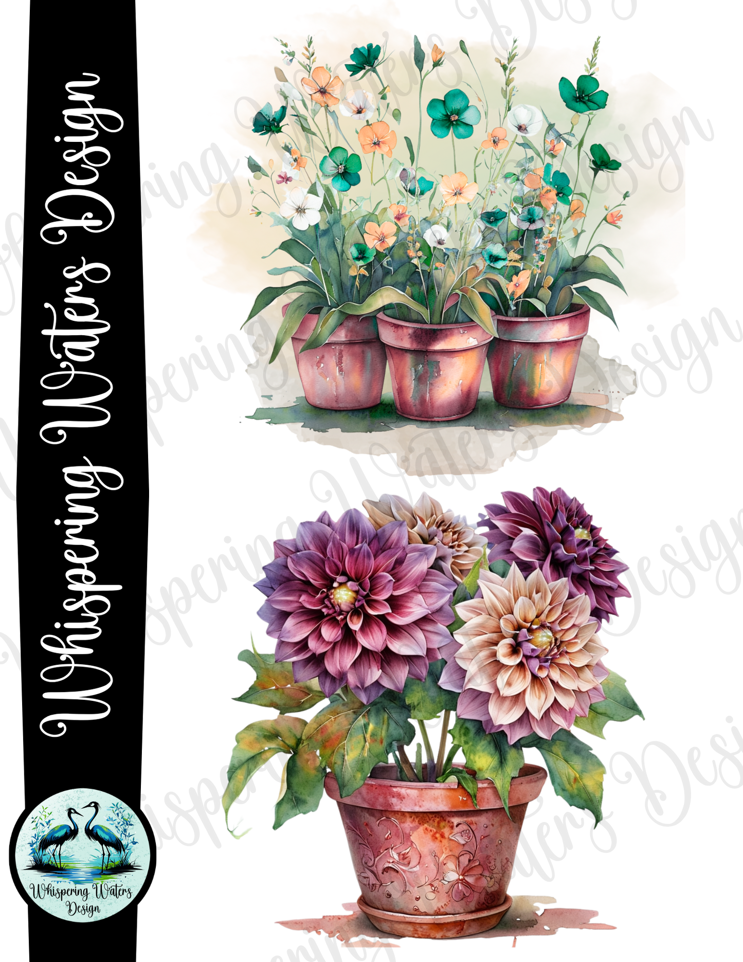 12 Potted Flowers PNGs