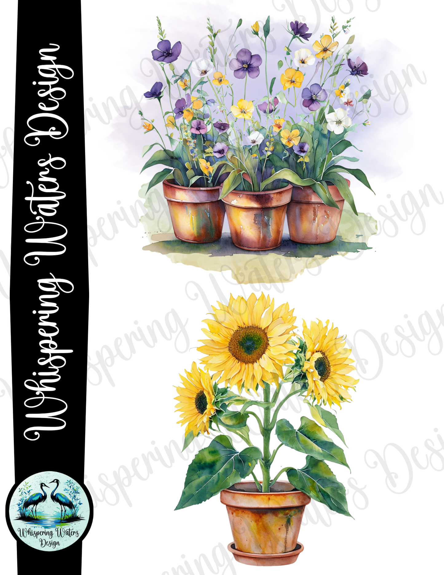 12 Potted Flowers PNGs