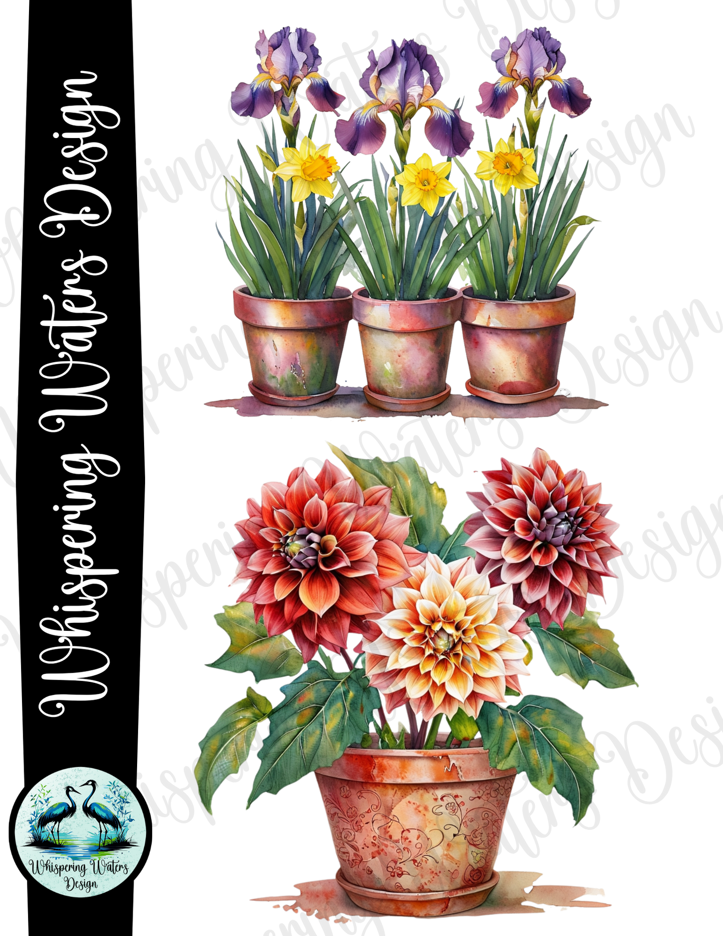 12 Potted Flowers PNGs