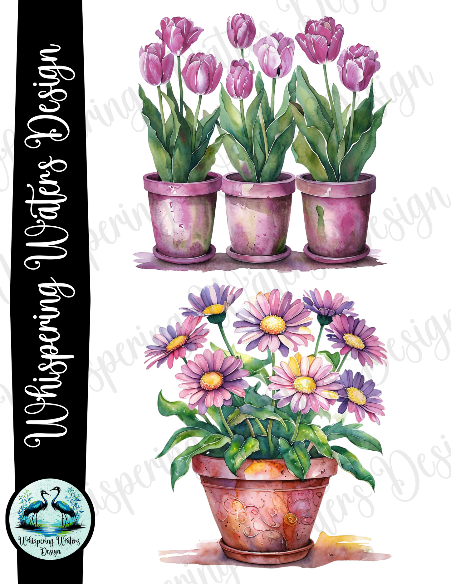 12 Potted Flowers PNGs