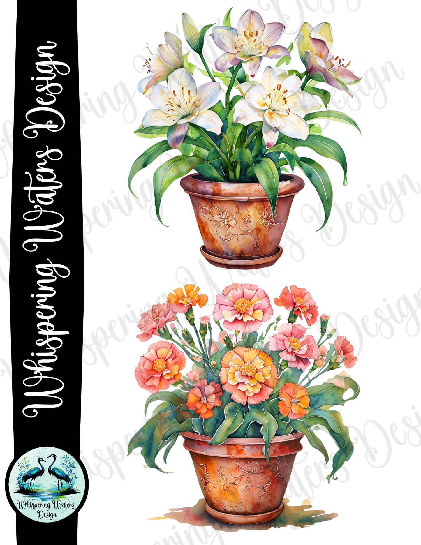 12 Potted Flowers PNGs