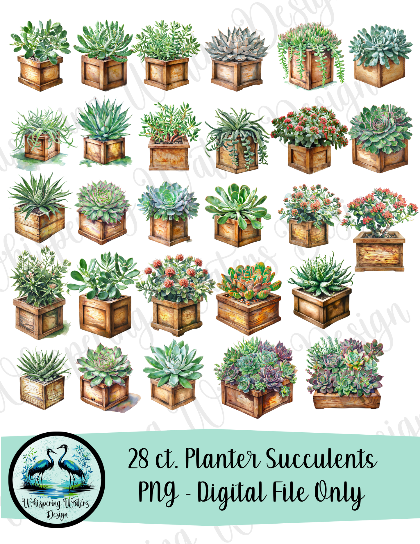 28 Planter Succulents PNG