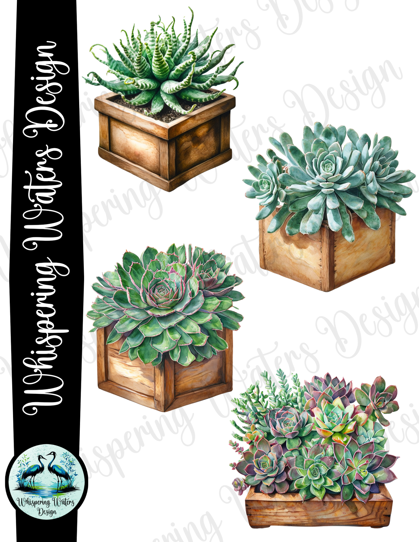 28 Planter Succulents PNG