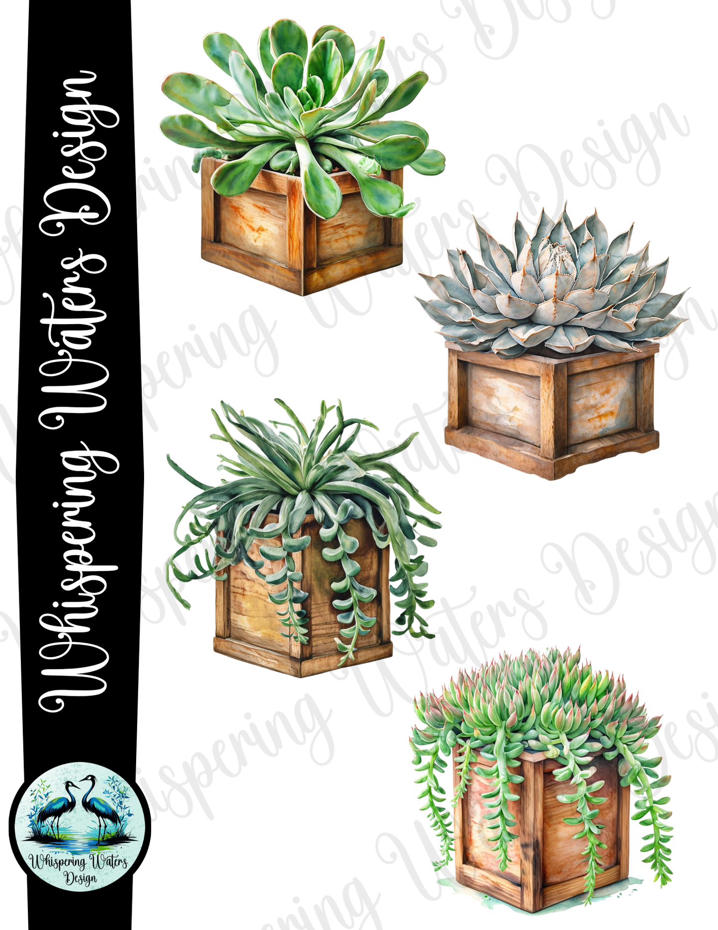 28 Planter Succulents PNG