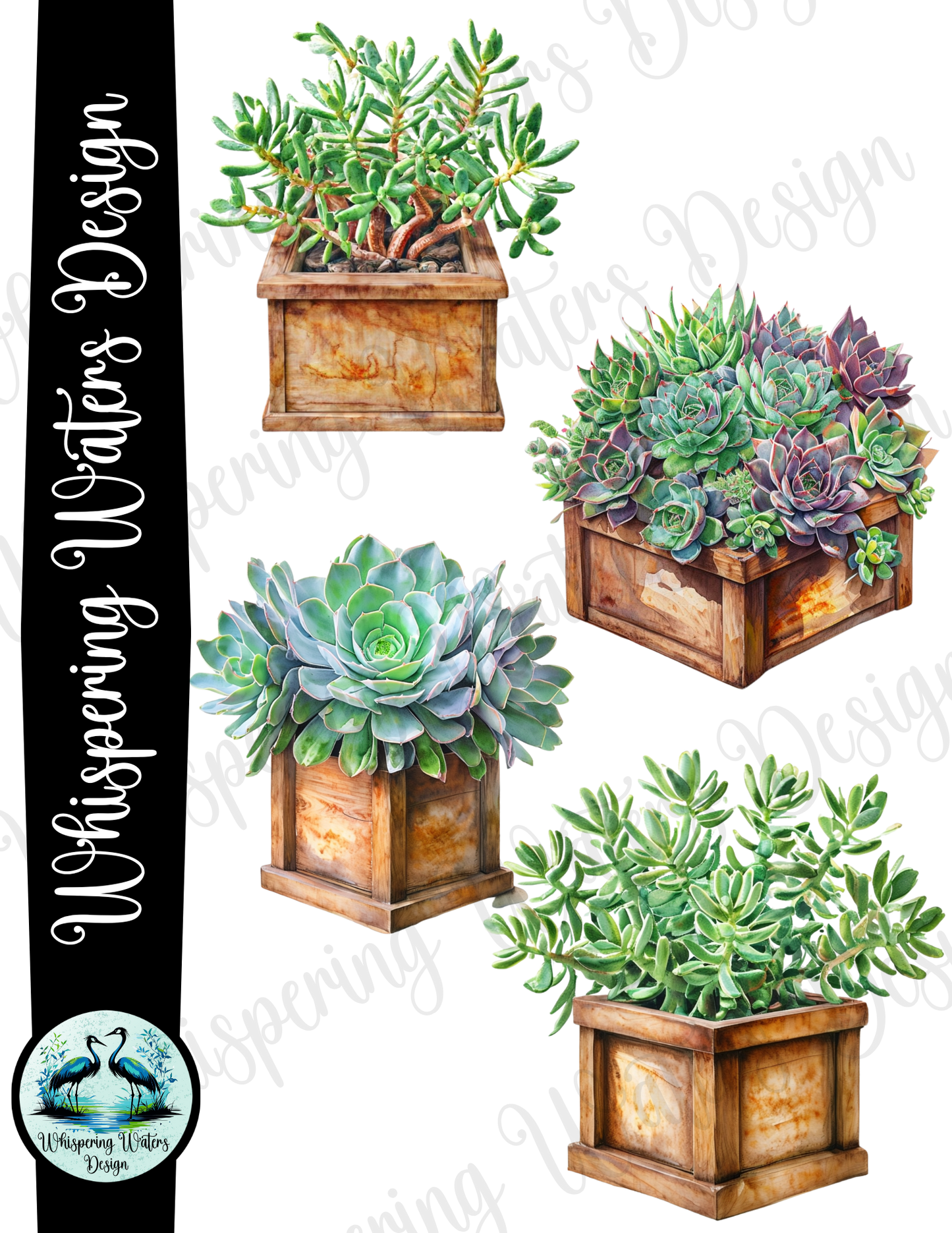 28 Planter Succulents PNG