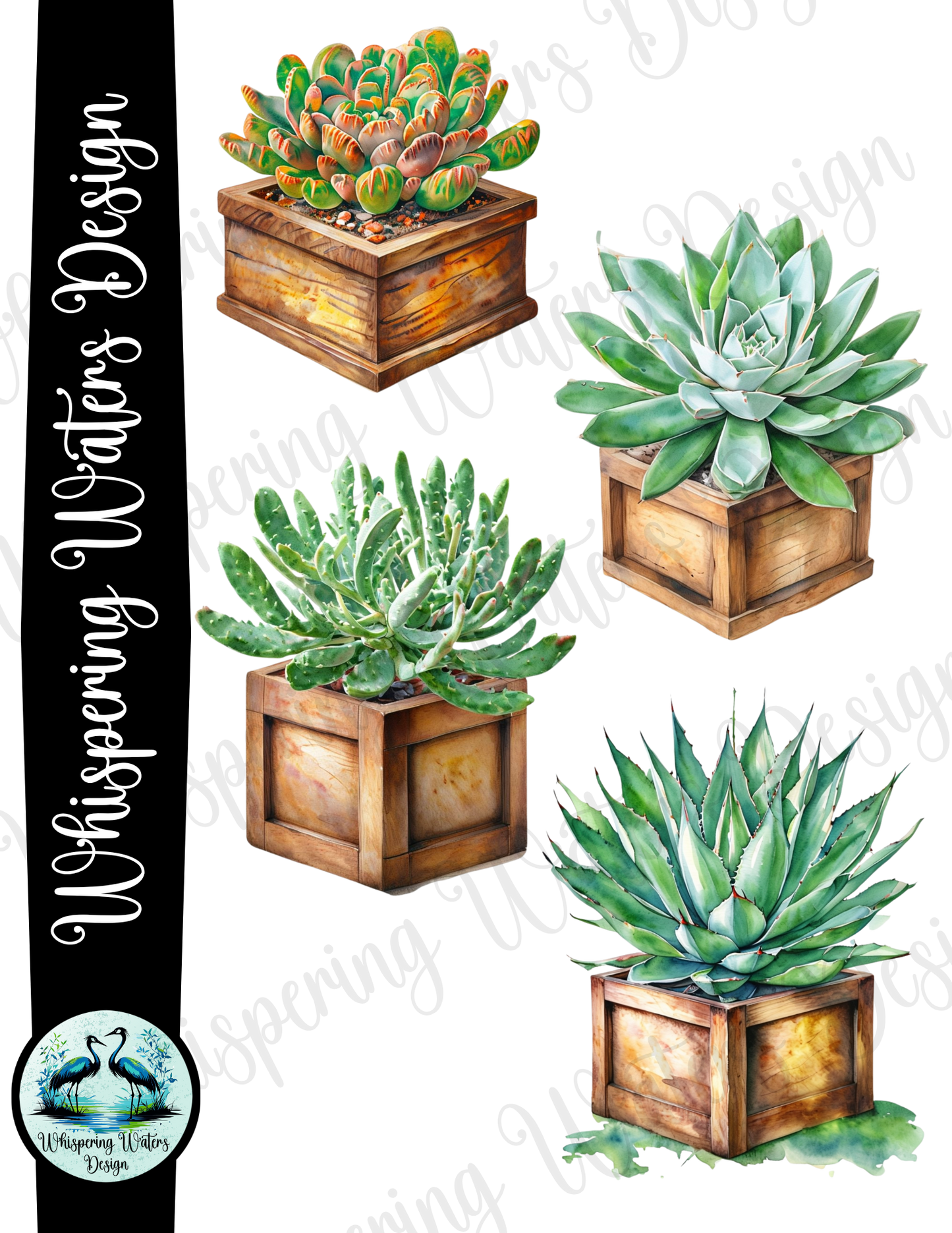 28 Planter Succulents PNG