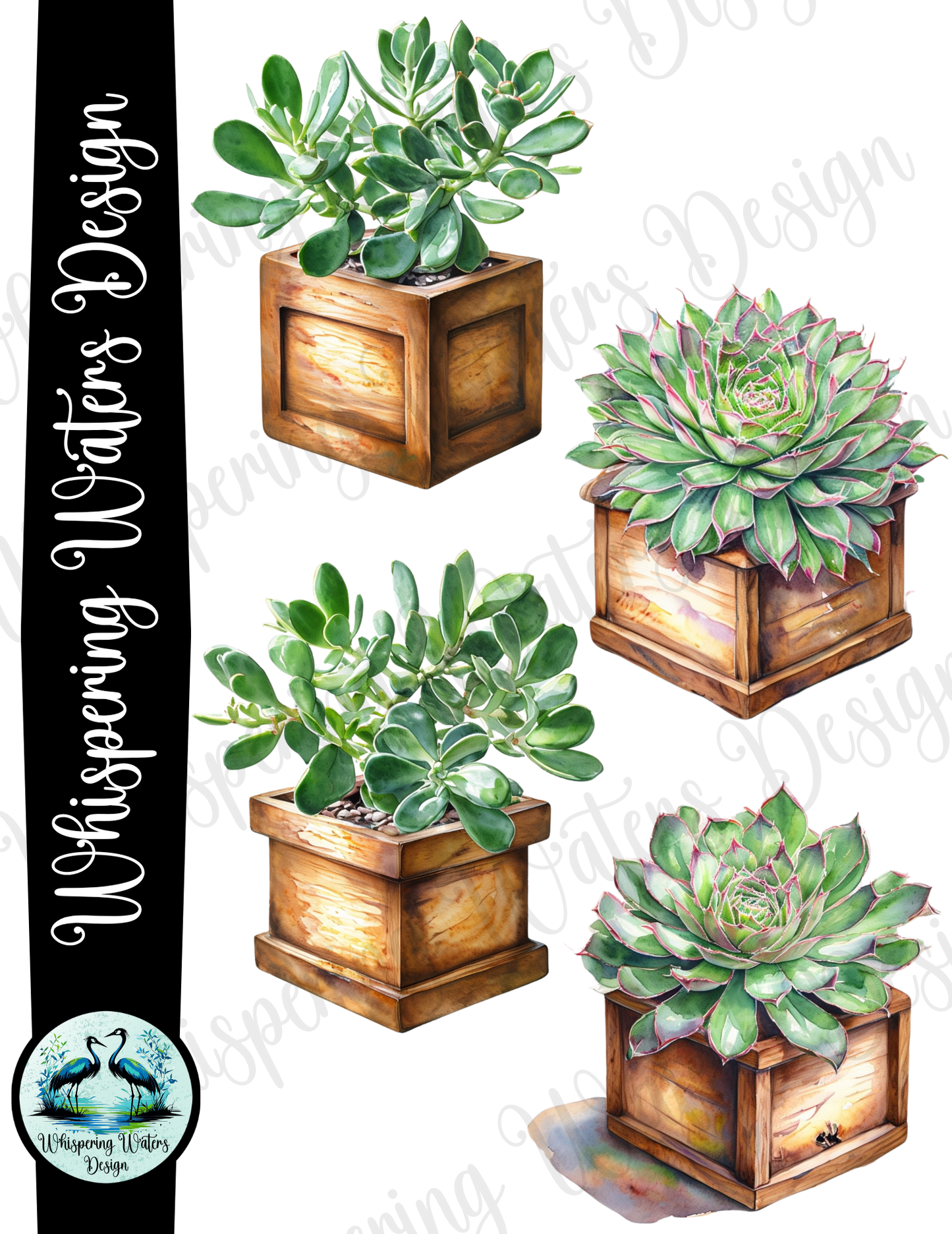 28 Planter Succulents PNG