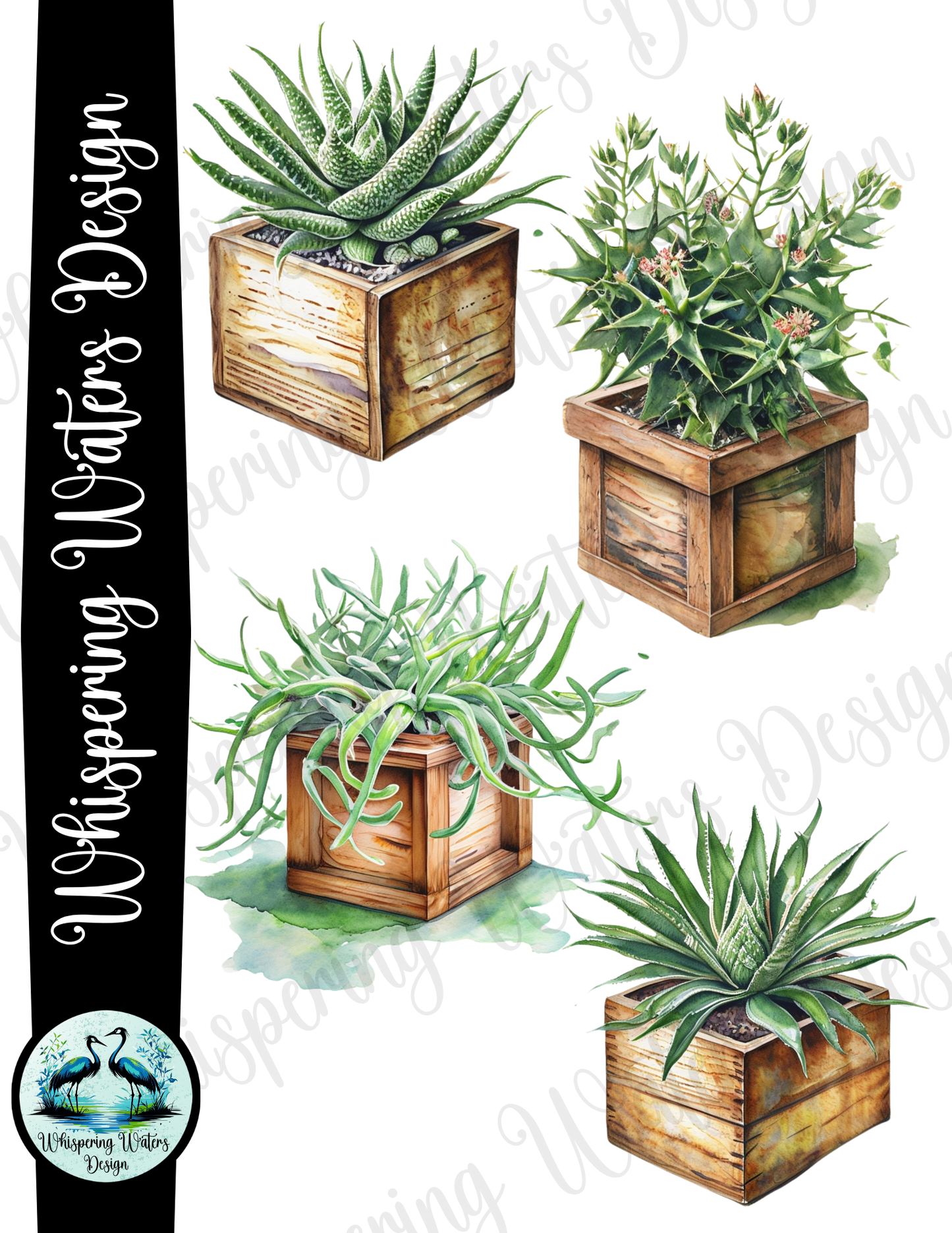 28 Planter Succulents PNG