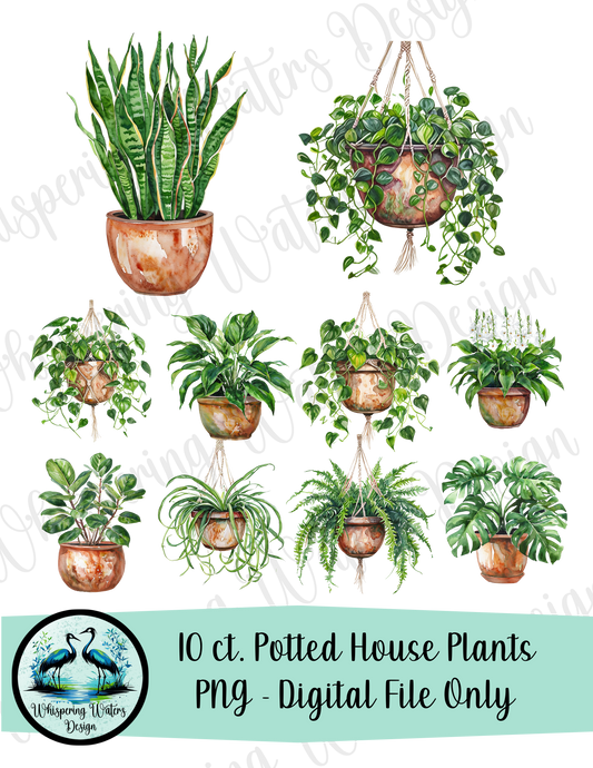 10 ct. Potted House Plants PNG