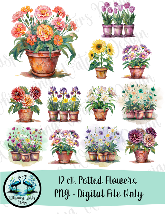 12 Potted Flowers PNGs