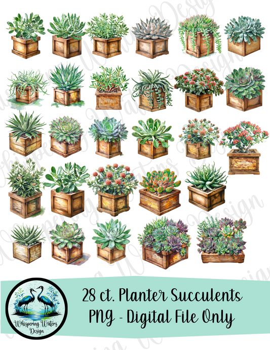 28 Planter Succulents PNG
